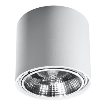 Bodové svítidlo TIUBE1xGU10-AR111/10W/230V