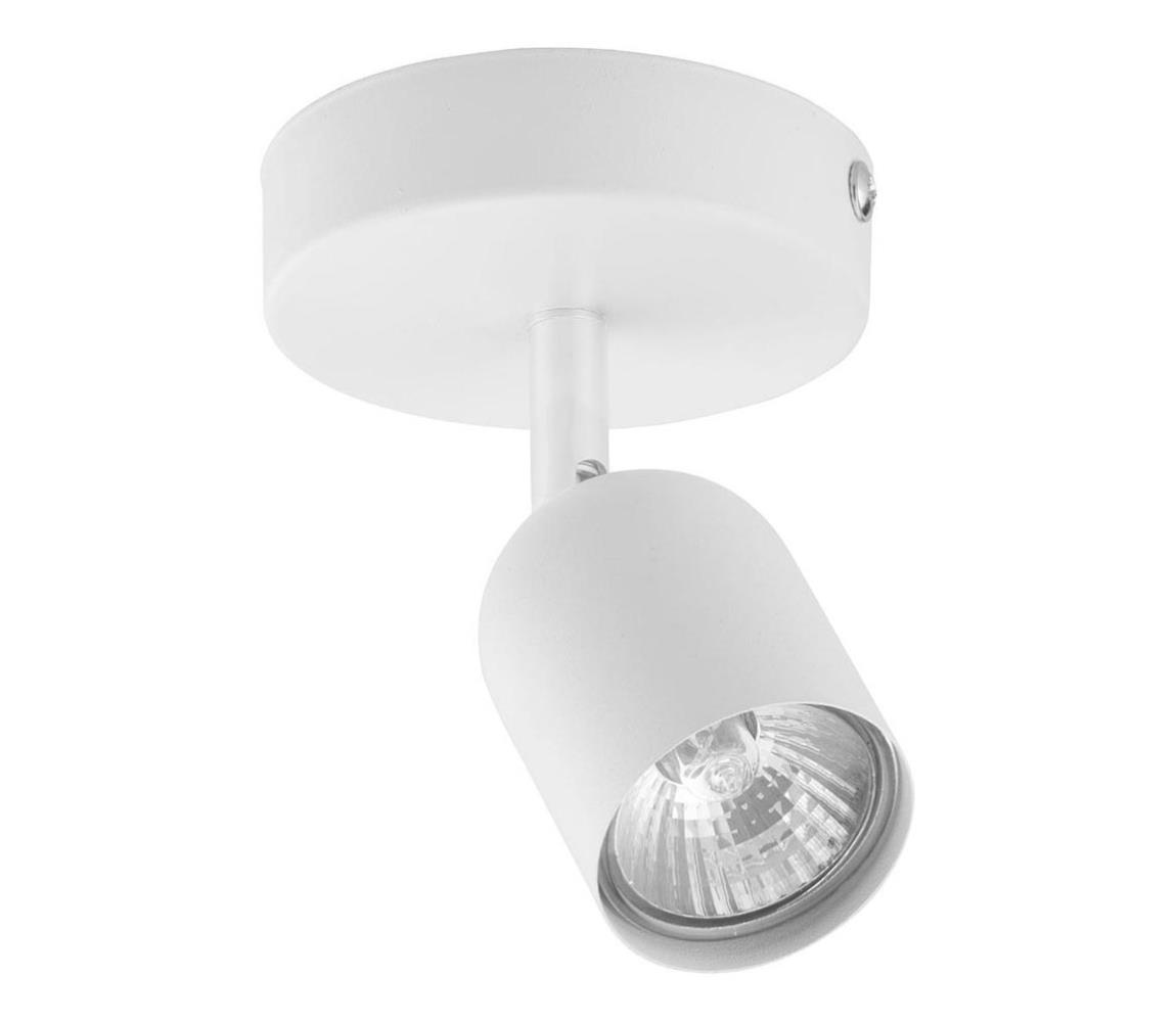 TK Lighting Bodové svítidlo TOP 1xGU10/10W/230V bílá TK3299