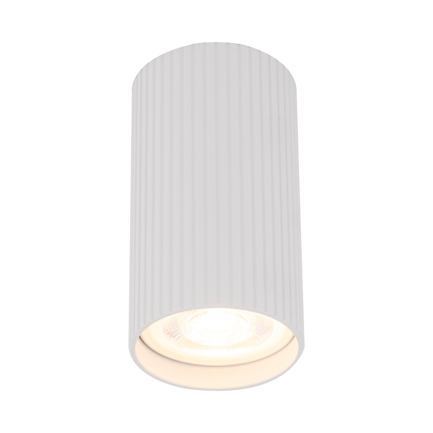 Bodové svítidlo TUNE S 1xGU10/10W/230V 10 cm bílá