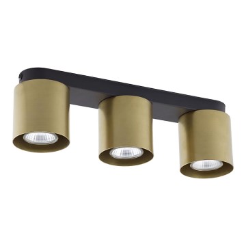 Bodové svítidlo VICO GOLD 3xGU10/10W/230V