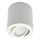 Bodové svítidlo ZOLA 1xGU10/30W/230V bílá