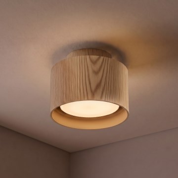 Brilagi - Bodové svítidlo BACKLIT 1xGX53/15W/230V pr. 10 cm dekor dubu