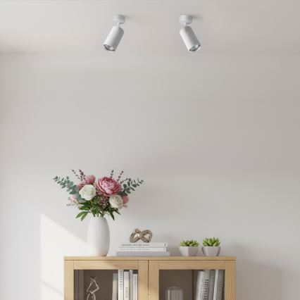 Brilagi - Bodové svítidlo SELE MODERN 1xGU10/30W/230V bílá