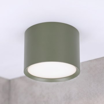 BRILAGI - Bodové svítidlo SMOOTH 1xGX53/15W/230V 60x82 mm tmavě zelená