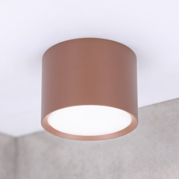 BRILAGI - Bodové svítidlo SMOOTH 1xGX53/15W/230V hnědá