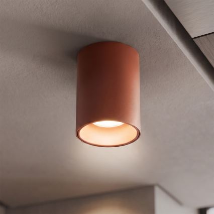 BRILAGI - Bodové svítidlo TRINE 1xGU10/30W/230V hnědá
