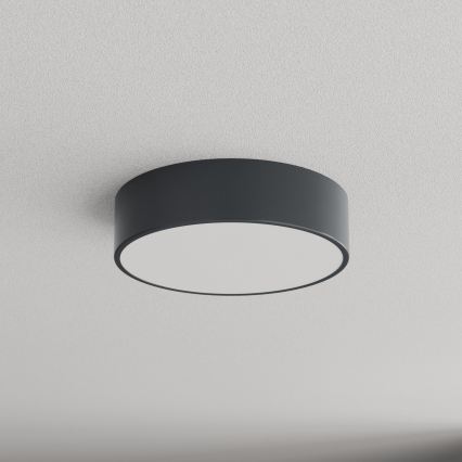 BRILAGI - Koupelnové stropní svítidlo CLARE 2xE27/24W/230V pr. 30 cm antracit IP54