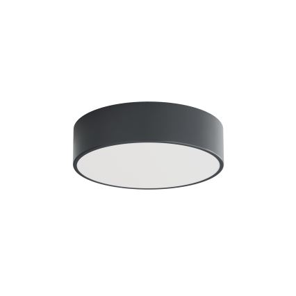 BRILAGI - Koupelnové stropní svítidlo CLARE 2xE27/24W/230V pr. 30 cm antracit IP54