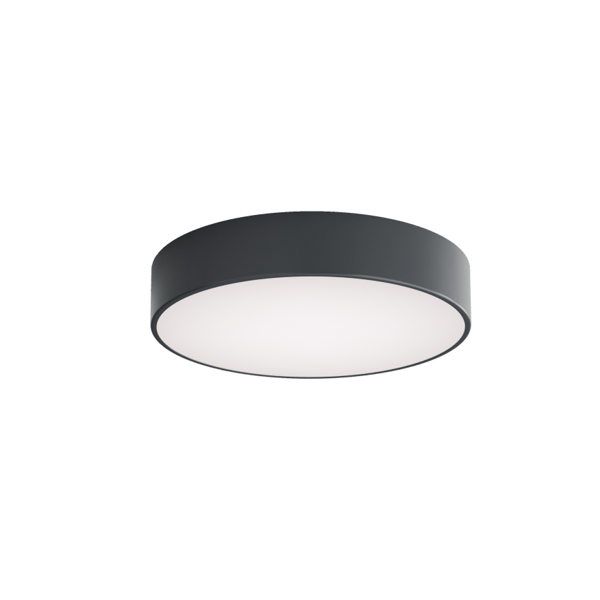 BRILAGI - Koupelnové stropní svítidlo CLARE 3xE27/24W/230V pr. 40 cm antracit IP54