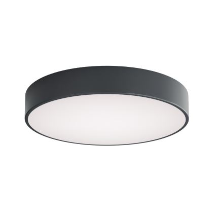 Brilagi - Koupelnové stropní svítidlo CLARE 4xE27/24W/230V pr. 50 cm antracit IP54