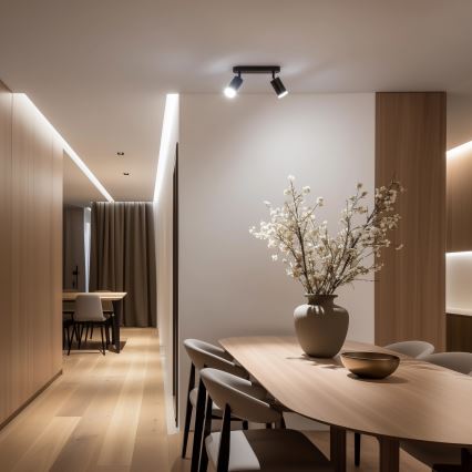 Brilagi - Koupelnové bodové svítidlo SELE 2xGU10/30W/230V IP44 černá