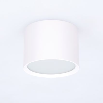 BRILAGI - Koupelnové bodové svítidlo SMOOTH 1xGX53/15W/230V bílá IP54