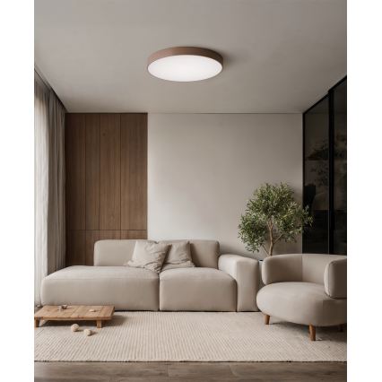 Brilagi - Koupelnové stropní svítidlo CLARE 4xE27/24W/230V pr. 50 cm IP54 hnědá