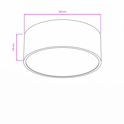 Brilagi - Koupelnové stropní svítidlo POOL 2xE27/15W/230V pr. 30 cm IP54 bílá