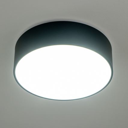 Brilagi - Koupelnové stropní svítidlo POOL 3xE27/15W/230V pr. 40 cm IP54 černá