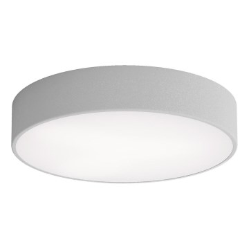 Brilagi - Koupenové stropní svítidlo CLARE 3xE27/24W/230V pr. 40 cm IP54 šedá