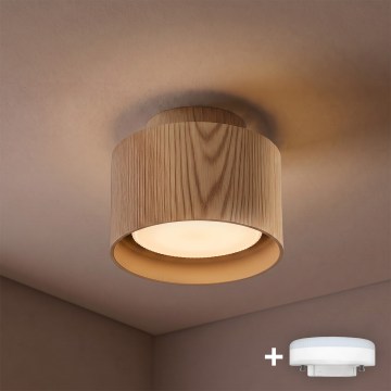 BRILAGI - LED Bodové svítidlo BACKLIT 1xGX53/15W/230V + LED/3W pr. 10 cm dekor dubu