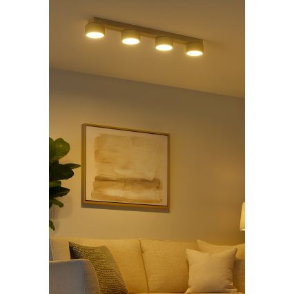 Brilagi - LED Bodové svítidlo MONO 4xGX53/30W/230V béžová