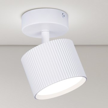 Brilagi - LED Bodové svítidlo STRIPY 1xGX53/15W/230V bílá