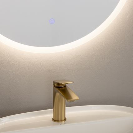 Brilagi - LED Koupelnové zrcadlo BERNATE LED/19W/230V pr. 60 cm stříbrná IP44 CRI 90 stmívatelné + CCT