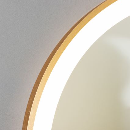 Brilagi - LED Koupelnové zrcadlo ERBA LED/25W/230V 50x80 cm zlatá IP44 CRI 90 stmívatelné + CCT
