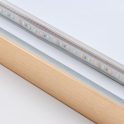 Brilagi - LED Koupelnové zrcadlo ERBA LED/25W/230V 50x80 cm zlatá IP44 CRI 90 stmívatelné + CCT