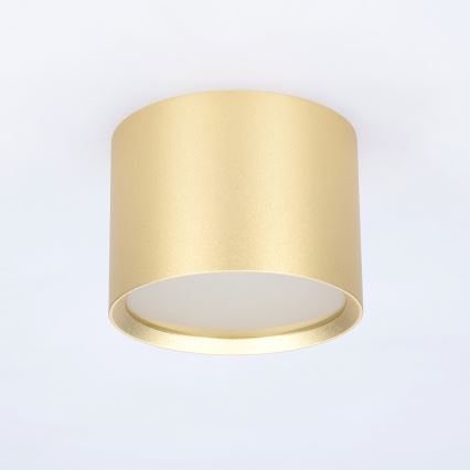 BRILAGI - LED Koupelnové bodové svítidlo SMOOTH 1xGX53/15W/230V 60x82 mm zlatá IP54
