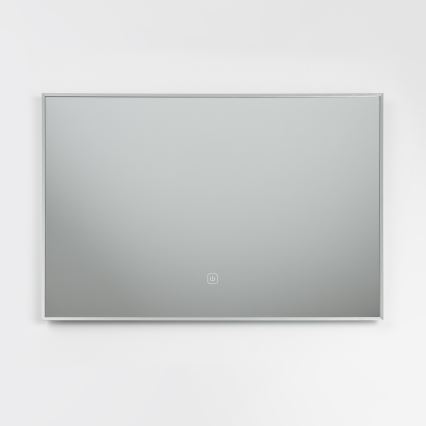 Brilagi - LED Koupelnové zrcadlo DESIO LED/20W/230V 40x60 cm stříbrná IP44 CRI 90 stmívatelné + CCT