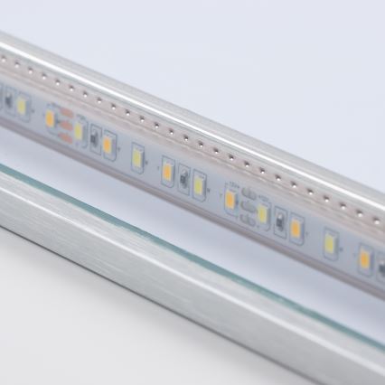 Brilagi - LED Koupelnové zrcadlo DESIO LED/20W/230V 40x60 cm stříbrná IP44 CRI 90 stmívatelné + CCT