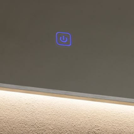 Brilagi - LED Koupelnové zrcadlo DESIO LED/28W/230V 60x80 cm stříbrná IP44 CRI 90 stmívatelné + CCT