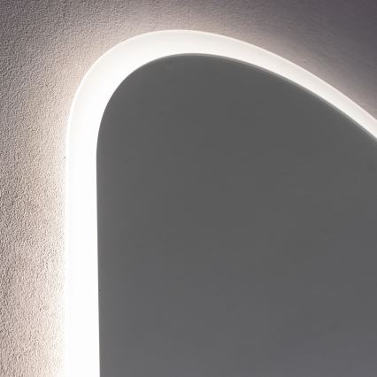 Brilagi - LED Koupelnové zrcadlo LECCO LED/25W/230V 50x80 cm IP44 CRI 90 stmívatelné + CCT