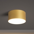 BRILAGI - LED Koupelnové stropní svítidlo FORIS LED/14W/230V pr. 12 cm zlatá IP44
