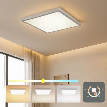 Brilagi - LED Koupelnové stropní svítidlo FRAME LED/50W/230V 3000/4000/6000K 60x60 cm IP44 stříbrná
