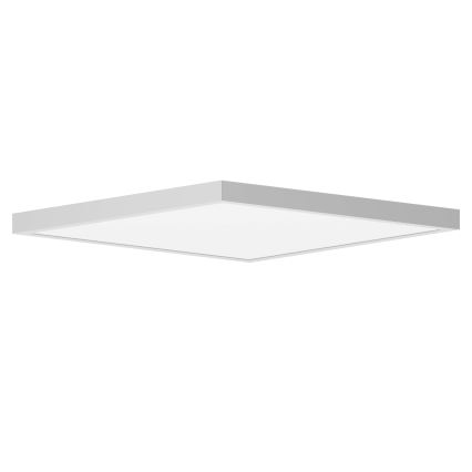 Brilagi - LED Koupelnové stropní svítidlo FRAME LED/50W/230V 60x60 cm IP44 bílá