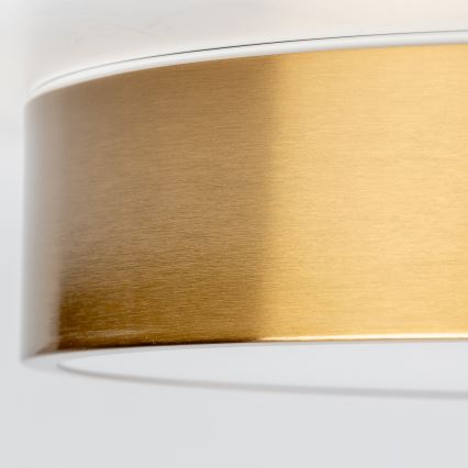 Brilagi - LED Koupelnové stropní svítidlo POOL LED/24W/230V 3000/4000/5500K pr. 30 cm IP54 bronz