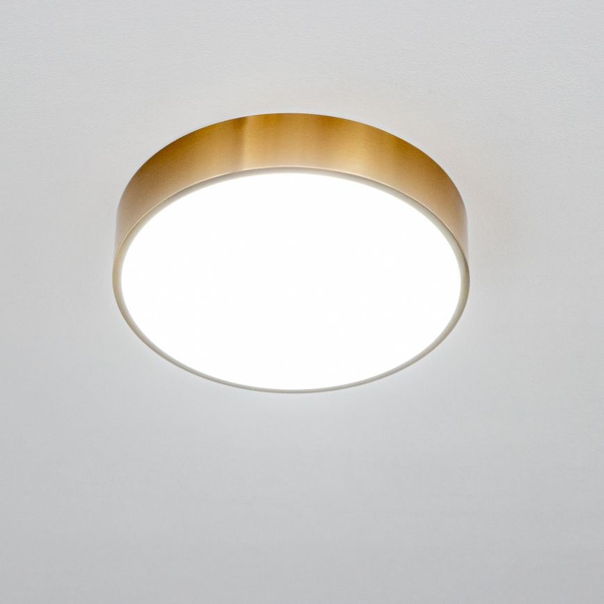 Brilagi - LED Koupelnové stropní svítidlo POOL LED/24W/230V 3000/4000/5500K pr. 30 cm IP54 bronz