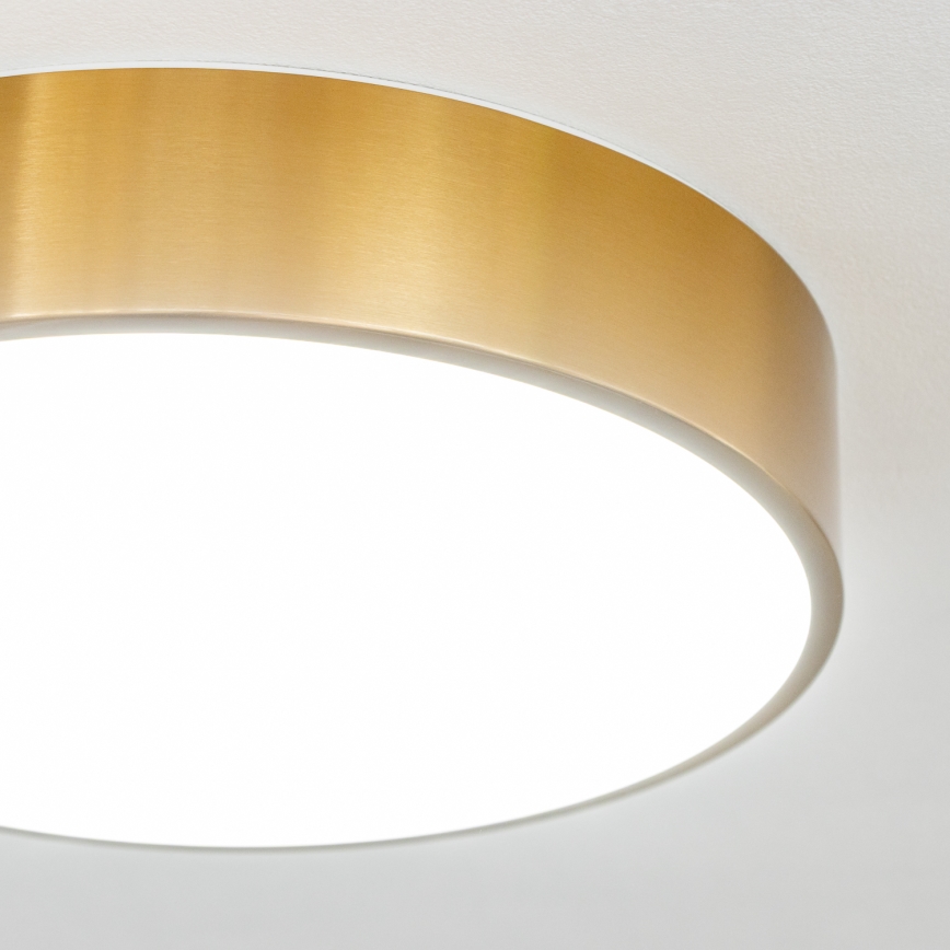 Brilagi - LED Koupelnové stropní svítidlo POOL LED/24W/230V 3000/4000/5500K pr. 30 cm IP54 bronz