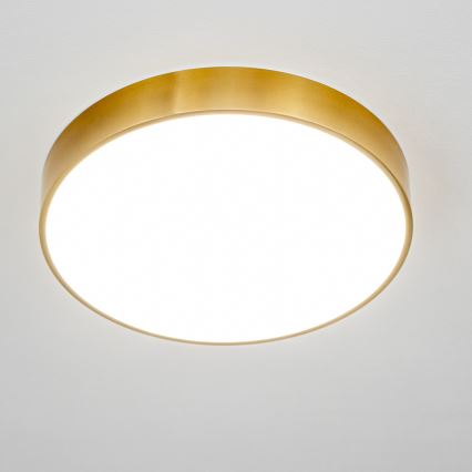 Brilagi - LED Koupelnové stropní svítidlo POOL LED/36W/230V 3000/4000/5500K pr. 40 cm IP54 bronz