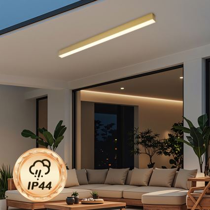 Brilagi - LED Koupelnové stropní svítidlo SLEEKLINE LED/40W/230V 3000/4500/6000K zlatá IP44