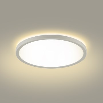 Brilagi - LED Koupelnové stropní svítidlo ULTRA SLIM LED/12W/230V pr. 22,5 cm bílá IP54