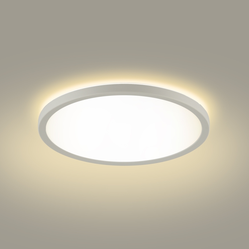 Brilagi - LED Koupelnové stropní svítidlo ULTRA SLIM LED/12W/230V pr. 22,5 cm bílá IP54