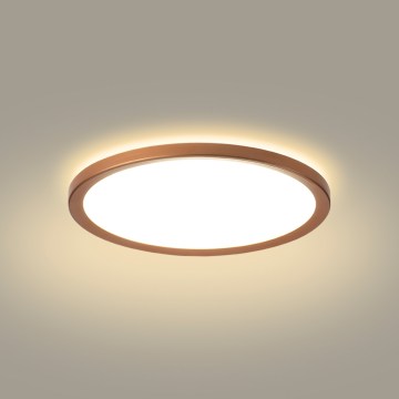 Brilagi - LED Koupelnové stropní svítidlo ULTRA SLIM LED/12W/230V pr.22,5 cm rose gold IP54