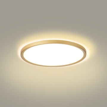 Brilagi - LED Koupelnové stropní svítidlo ULTRA SLIM LED/18W/230V pr. 30 cm zlatá IP54