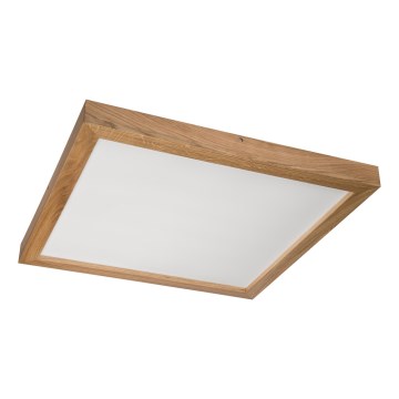Brilagi - LED Koupelnové stropní svítidlo WOODY FRAME LED/40W/230V 60x60 cm IP44 dub