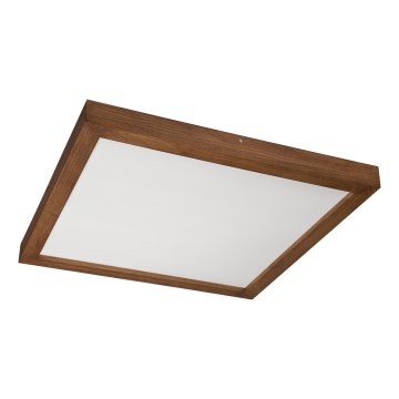 Brilagi - LED Koupelnové stropní svítidlo WOODY FRAME LED/50W/230V 60x60 cm IP44 dub třešeň