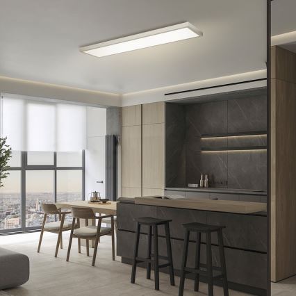 Brilagi - LED Koupelnové stropní svítidlo FRAME LED/50W/230V 3000/4000/6000K 120x30 cm IP44 stříbrná