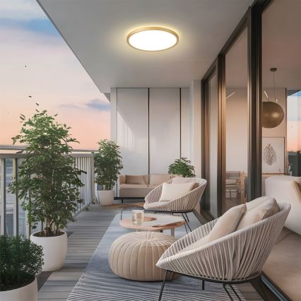 Brilagi - LED Koupelnové stropní svítidlo ULTRA SLIM LED/24W/230V pr. 42 cm zlatá IP54