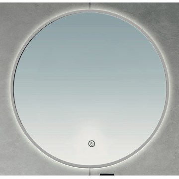 BRILAGI - LED Koupelnové zrcadlo VENA SILVER LED/32W/230V pr. 100 cm IP44 CRI 90 stmívatelné + CCT