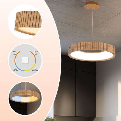 Brilagi - LED Lustr na lanku FALCON WOOD MODERN LED/30W/230V 3000/4000/6000K pr. 45 cm dřevo