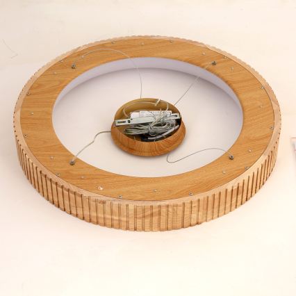 Brilagi - LED Lustr na lanku FALCON WOOD MODERN LED/40W/230V 3000/4000/6000K pr. 60 cm dřevo